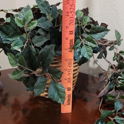 Lot 251: Silk Ivy 