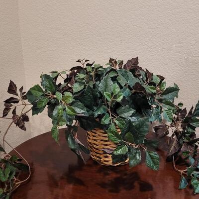 Lot 251: Silk Ivy 