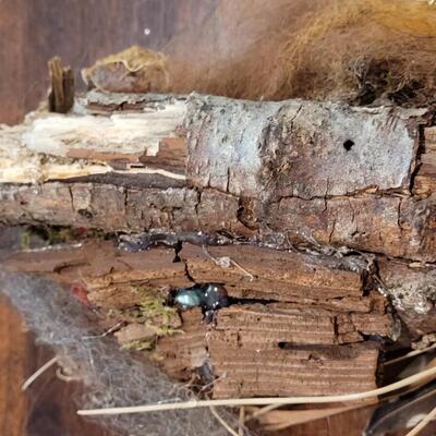Lot 276: Mixed Media Sculpture 