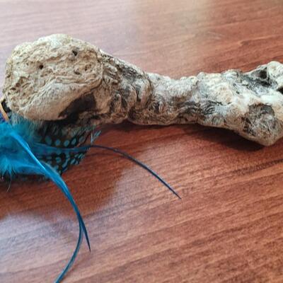 Lot 279: Kelp by Cheri Aldrich