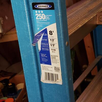 155 - Werner Ladder