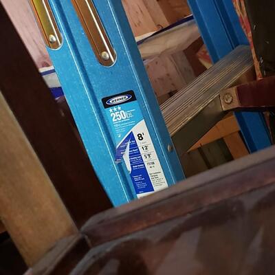 155 - Werner Ladder