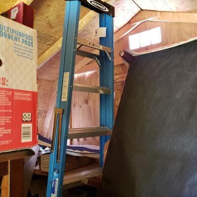 155 - Werner Ladder