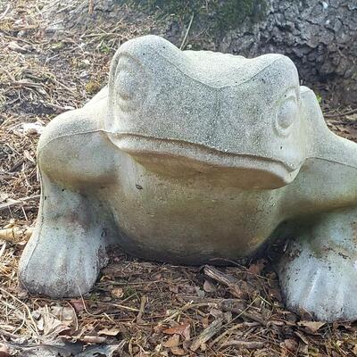 157 - Concrete Frog