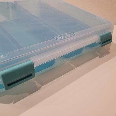 Lot 487: Organizer Container with Removable Bins