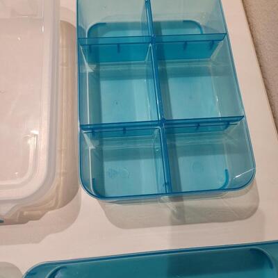 Lot 487: Organizer Container with Removable Bins