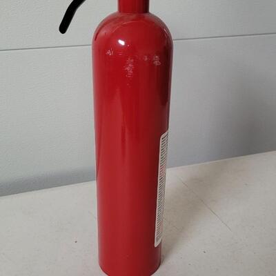 Lot 601: Fire Extinguisher