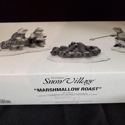 Fun in the Snow - A Heavy Snowfall - Marshmallow Roast 