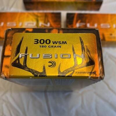LOT#25LR: Fusion 300 WSM Ammo Lot #2