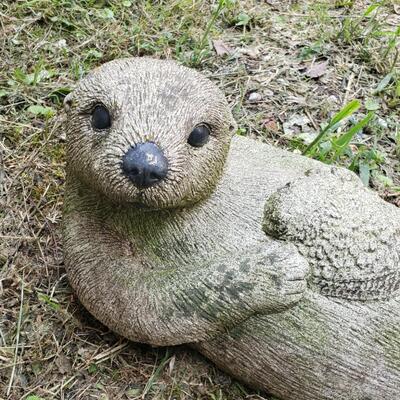 171 - Otter 