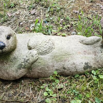 171 - Otter 