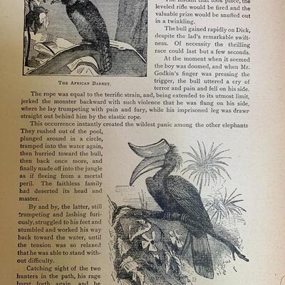 The Wild Beasts Birds and Reptiles of the World - The Story of Their Capture by PT Barnum - 1889