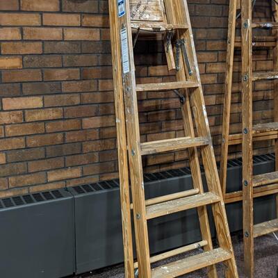 Werner 6' Step Ladder