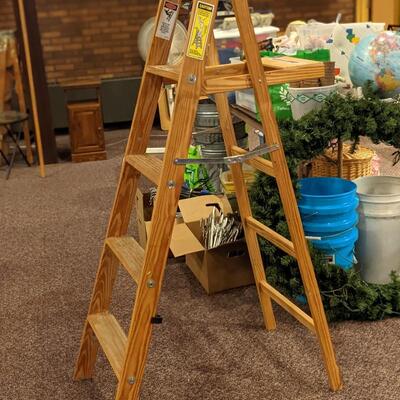 Werner 5' Step Ladder