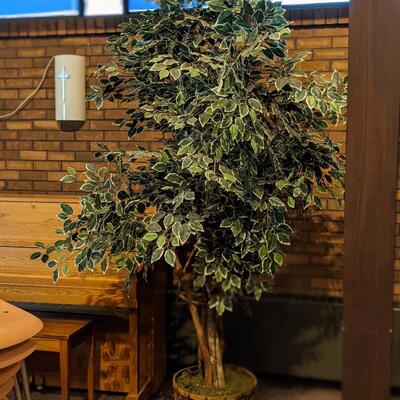 Nice Artificial Ficus