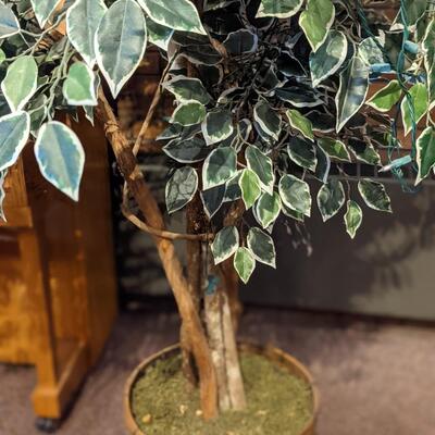 Nice Artificial Ficus