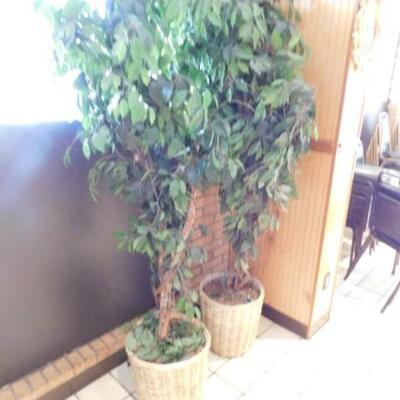 Pair of Artificial Plants in Basket Planters 7'