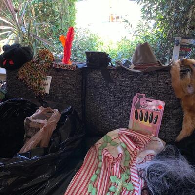 Large lot of Costumes #1