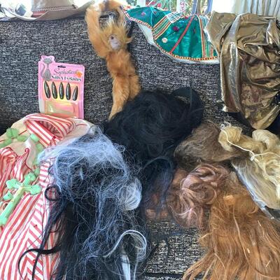 Large lot of Costumes #1