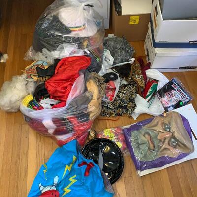 Large lot of Costumes #2