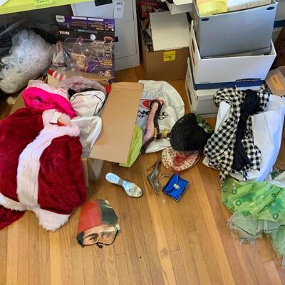 Large lot of Costumes #2