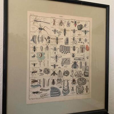 Wall art #4