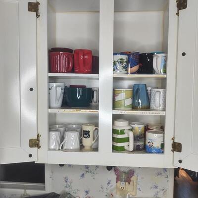 18 - Cabinet Contents