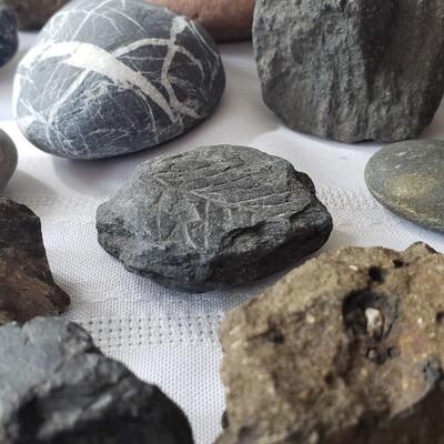 Rock collection 