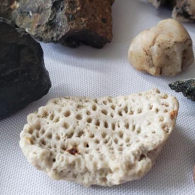 Rock collection 