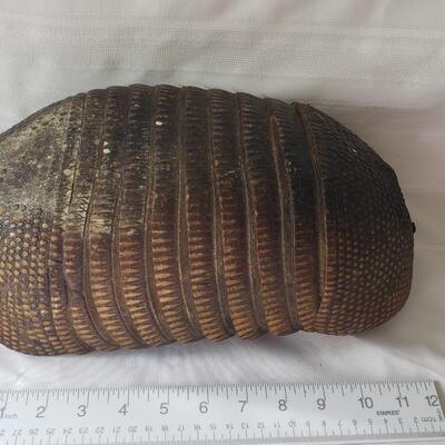 Armadillo shell