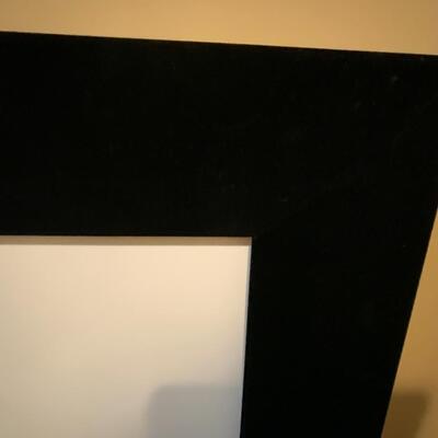 Large Projection Screen 