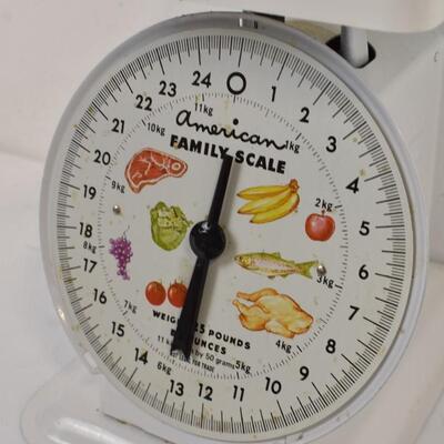 American Family Scale up to 25 pounds. White Metal - Vintage?