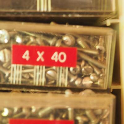 Lot 19 Nuts and bolts in labeled bins