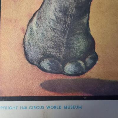 1960 Circus World Museum Mini posters   -   4