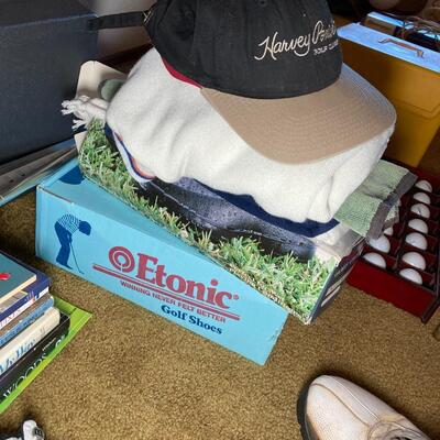 Lot 38:  Golf ball Collection and more