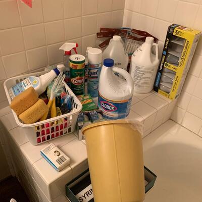 Lot 106:  Cleaning supplies and more