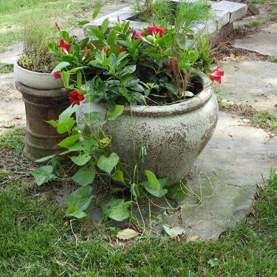 Large pottery flower pot