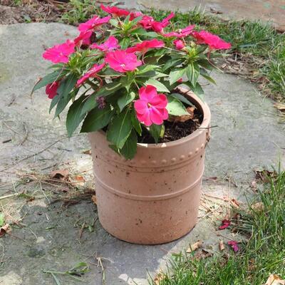 Pottery flower pot