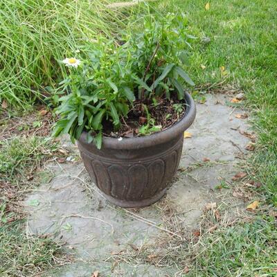 Large pottery flower pot