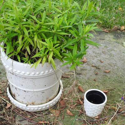Pottery flower pot