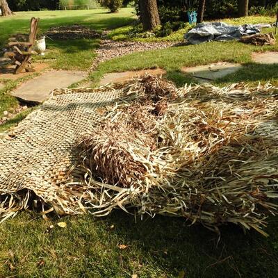 Woven palm leaf duck blind
