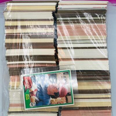 Gallon Bag of Unsorted Sports Cards
