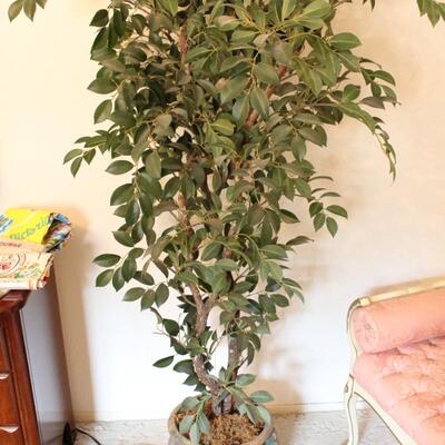 Lot 80 Lrg Faux Tree in Pot - Heavy
