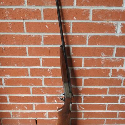 Savage 410 Shotgun 