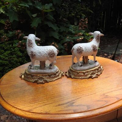 Jeanne Reed PorcelaIn Lambs