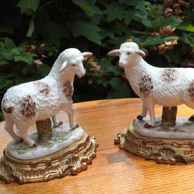 Jeanne Reed PorcelaIn Lambs