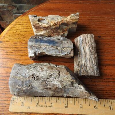 Petrified Wood