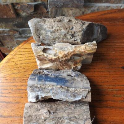 Petrified Wood
