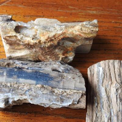 Petrified Wood