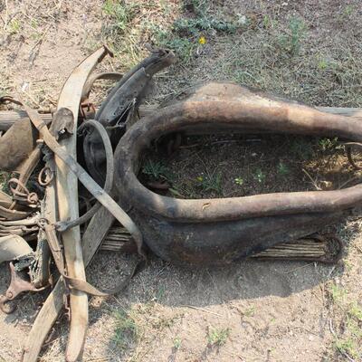   OXEN GEAR